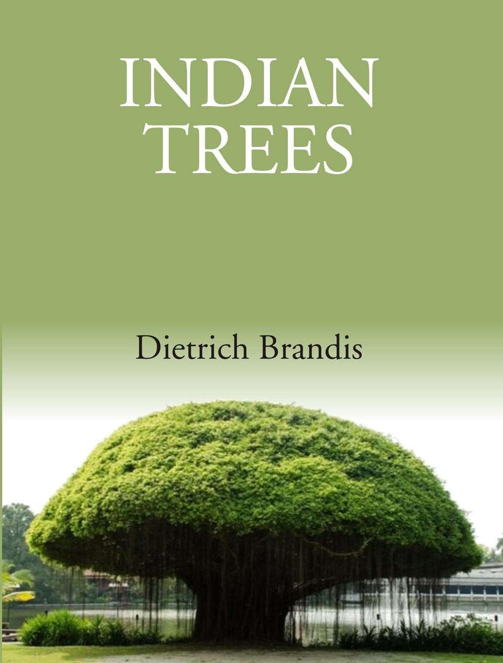 Indian Trees: An Account Of Trees, Shrubs, Woody Climbers, Bamboos And Palms Indigenous Or Commonly - Gyan Books