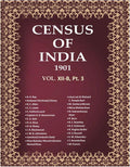 Census of India 1901: Burma - Provincial Tables : Lower Burma Book 30 Vol. XII-B, Pt. 3 - Gyan Books | Grab2Buy