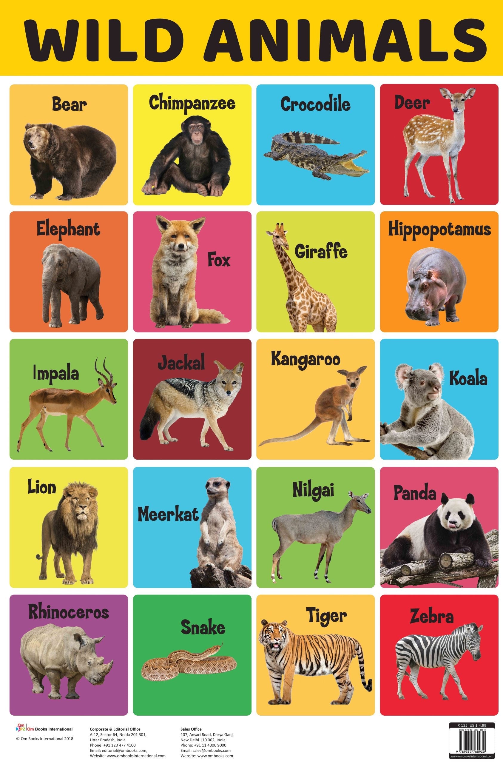Wild Animals : Charts - Om Books