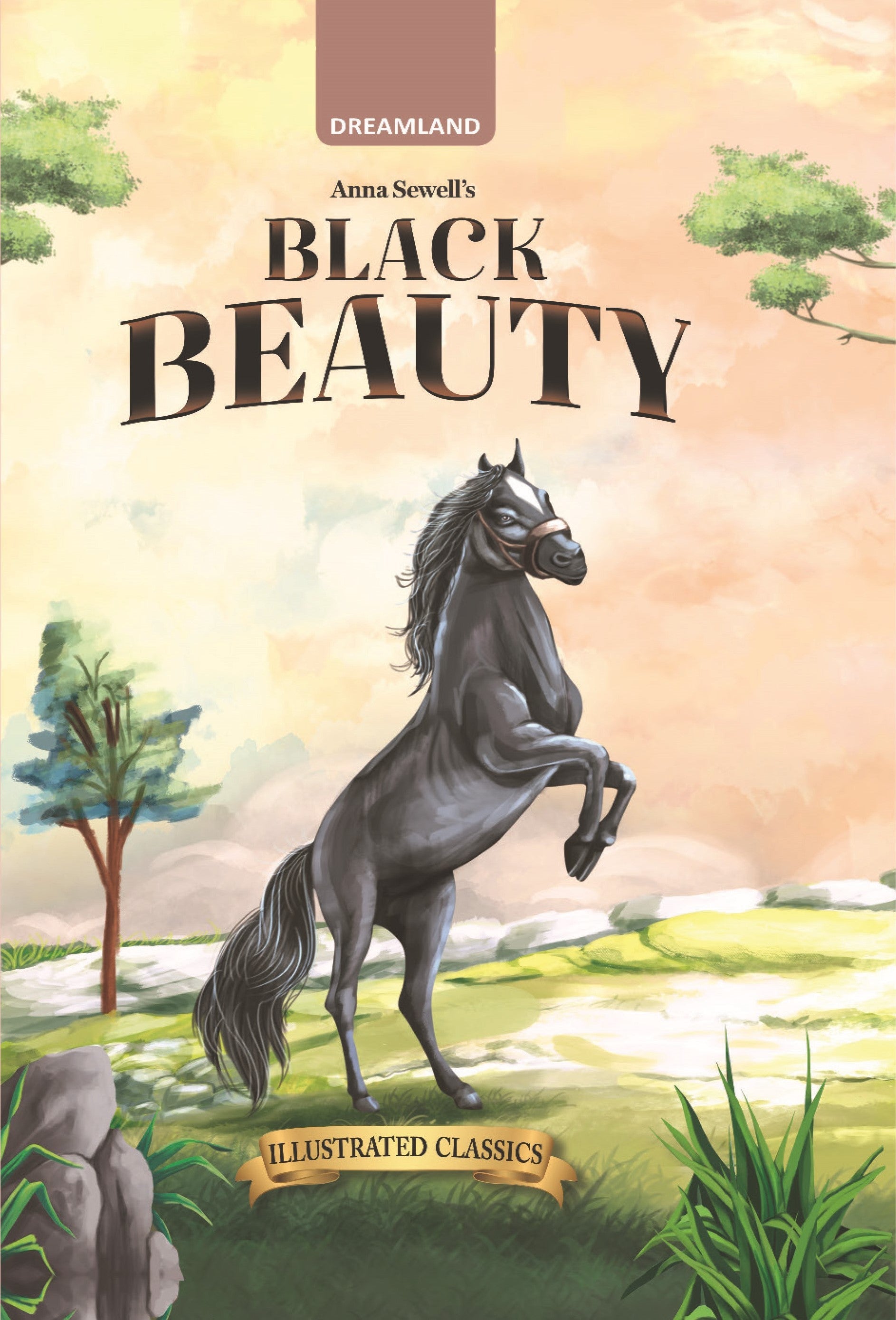 Dreamland Publications Black Beauty - Illustrated Abridged Classics for Children with Practice Questions | Grab2Buy