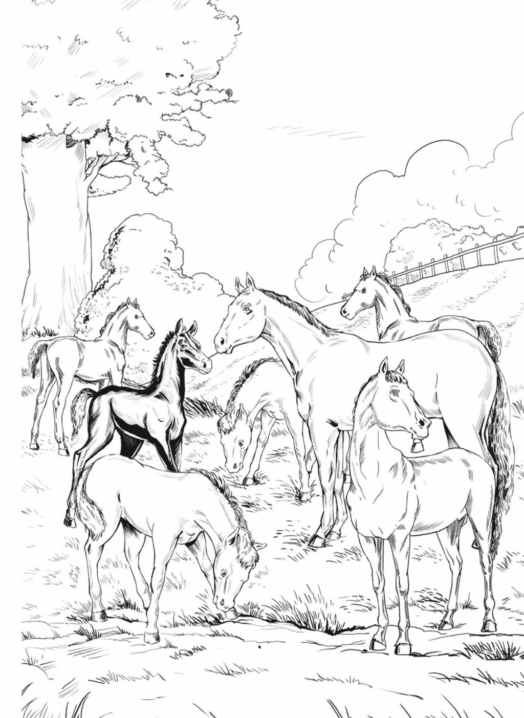 Dreamland Publications Black Beauty - Illustrated Abridged Classics for Children with Practice Questions | Grab2Buy