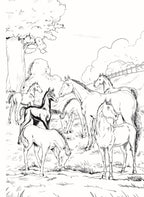 Dreamland Publications Black Beauty - Illustrated Abridged Classics for Children with Practice Questions | Grab2Buy