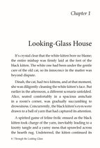 Dreamland Publications Through the Looking Glass - Illustrated Abridged Classics for Children with Practice Questions | Grab2Buy