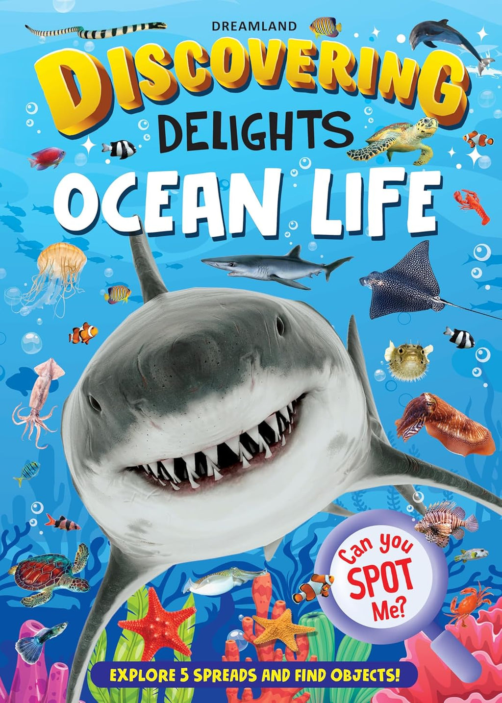 Dreamland Publications Ocean Life Discovering Delights Flap Book for Kids Age 4 - 10 years | Grab2Buy