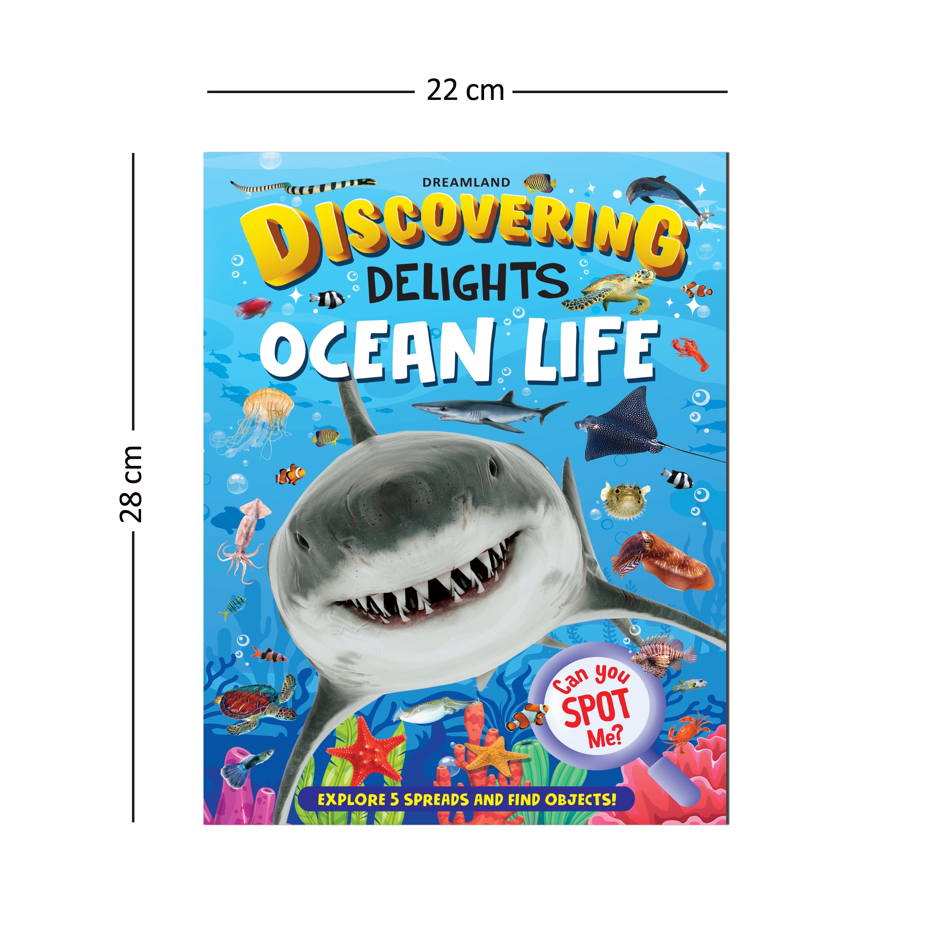 Dreamland Publications Ocean Life Discovering Delights Flap Book for Kids Age 4 - 10 years | Grab2Buy