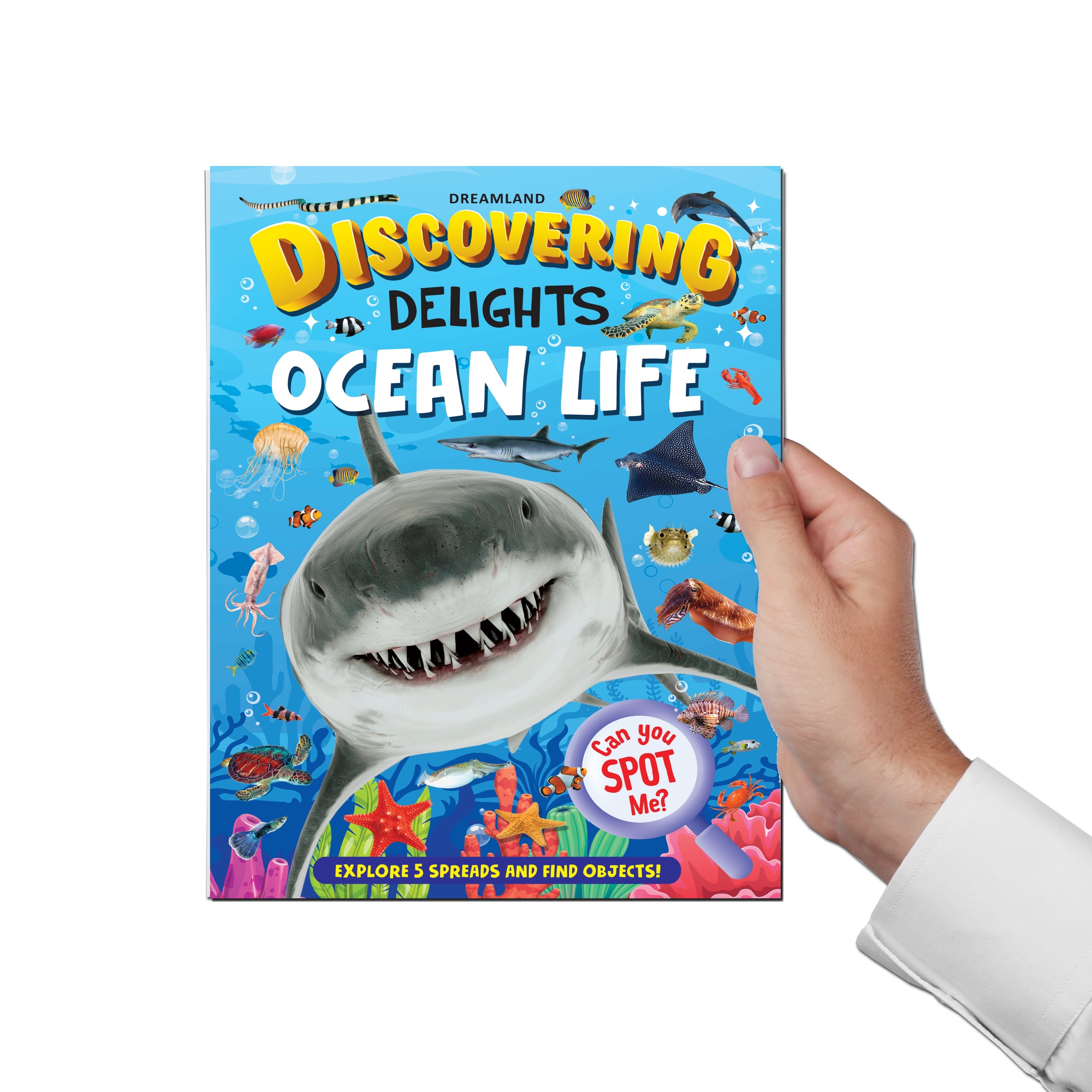 Dreamland Publications Ocean Life Discovering Delights Flap Book for Kids Age 4 - 10 years | Grab2Buy
