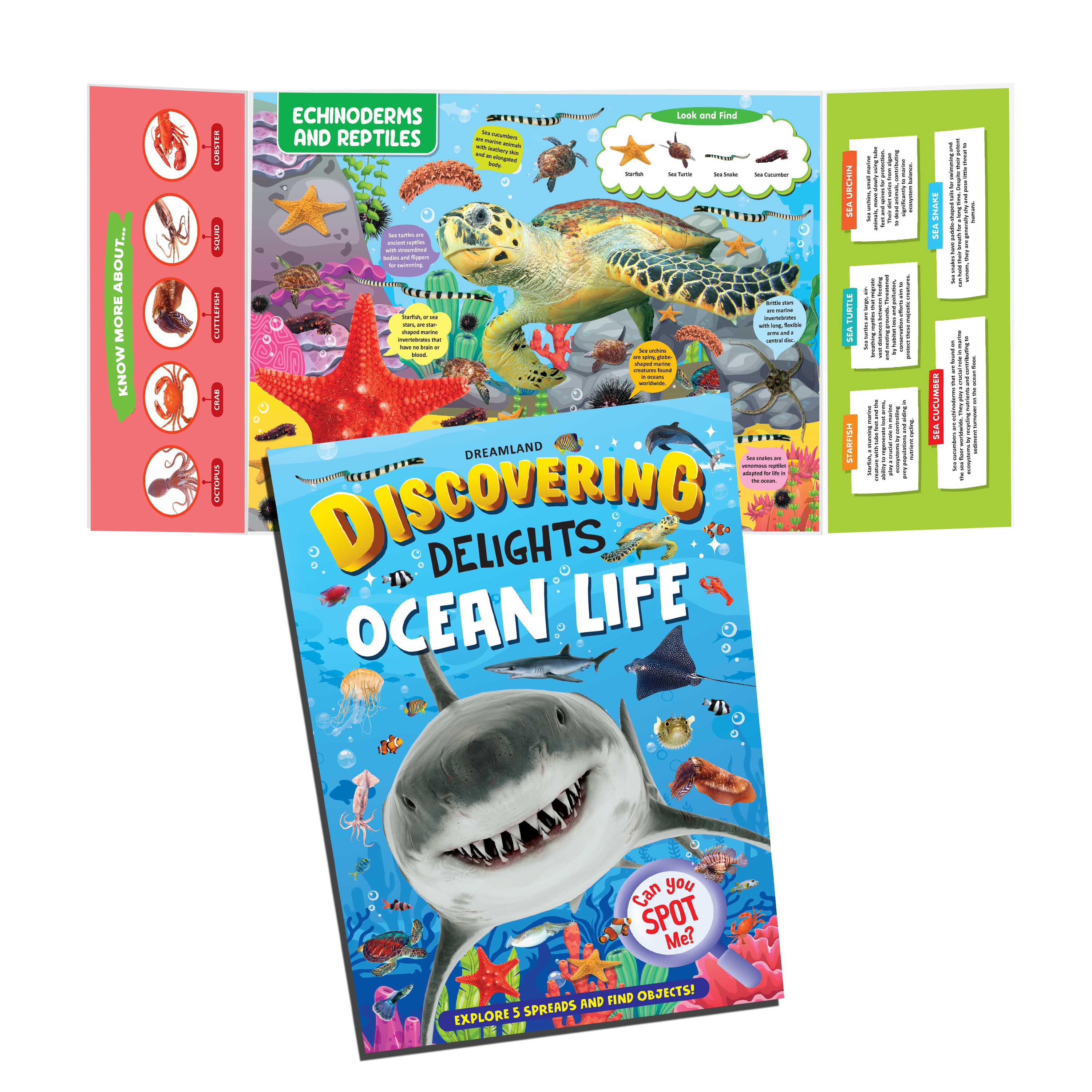 Dreamland Publications Ocean Life Discovering Delights Flap Book for Kids Age 4 - 10 years | Grab2Buy