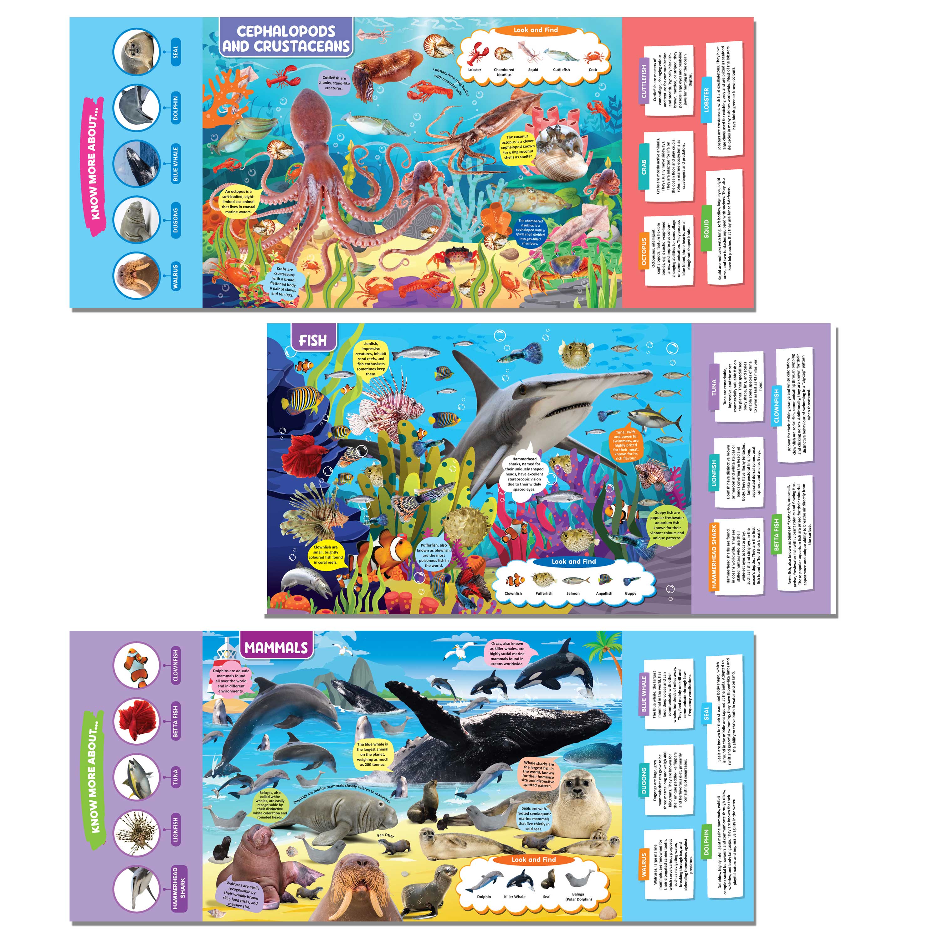 Dreamland Publications Ocean Life Discovering Delights Flap Book for Kids Age 4 - 10 years | Grab2Buy