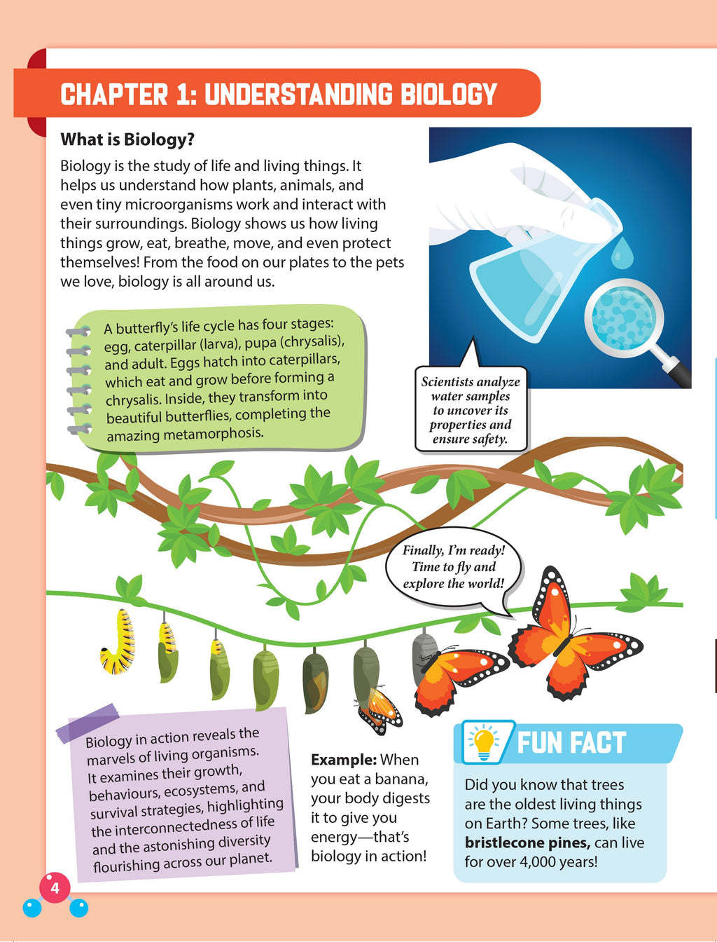 Dreamland Publications Everyday Wonders: Biology for Kids Age 6+ – Fun Facts and Exciting Activities About Living Things | Grab2Buy