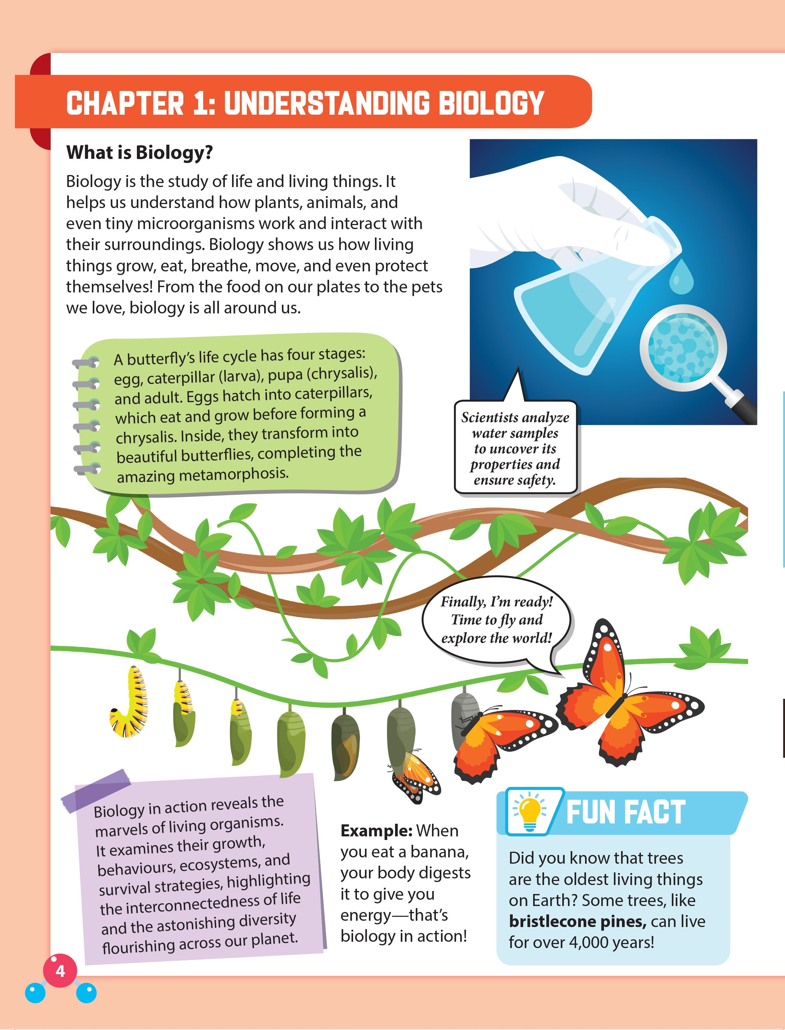 Dreamland Publications Everyday Wonders: Biology for Kids Age 6+ – Fun Facts and Exciting Activities About Living Things | Grab2Buy