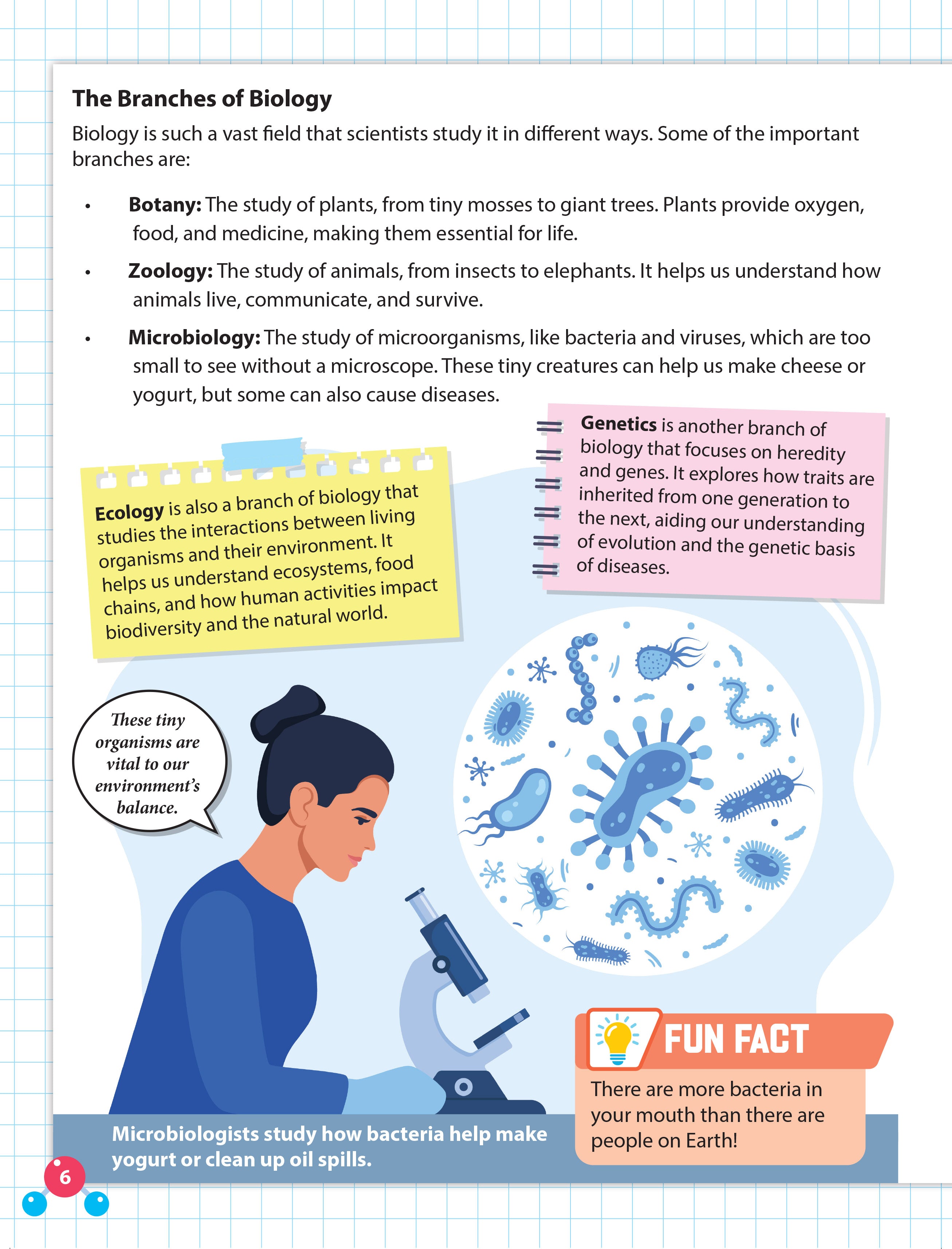 Dreamland Publications Everyday Wonders: Biology for Kids Age 6+ – Fun Facts and Exciting Activities About Living Things | Grab2Buy