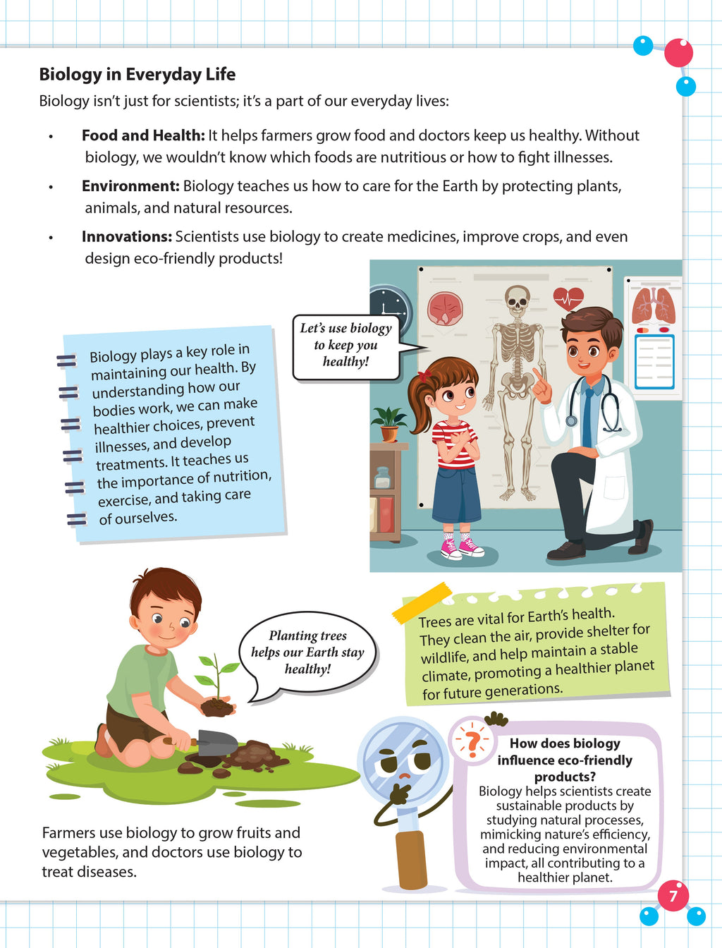 Dreamland Publications Everyday Wonders: Biology for Kids Age 6+ – Fun Facts and Exciting Activities About Living Things | Grab2Buy