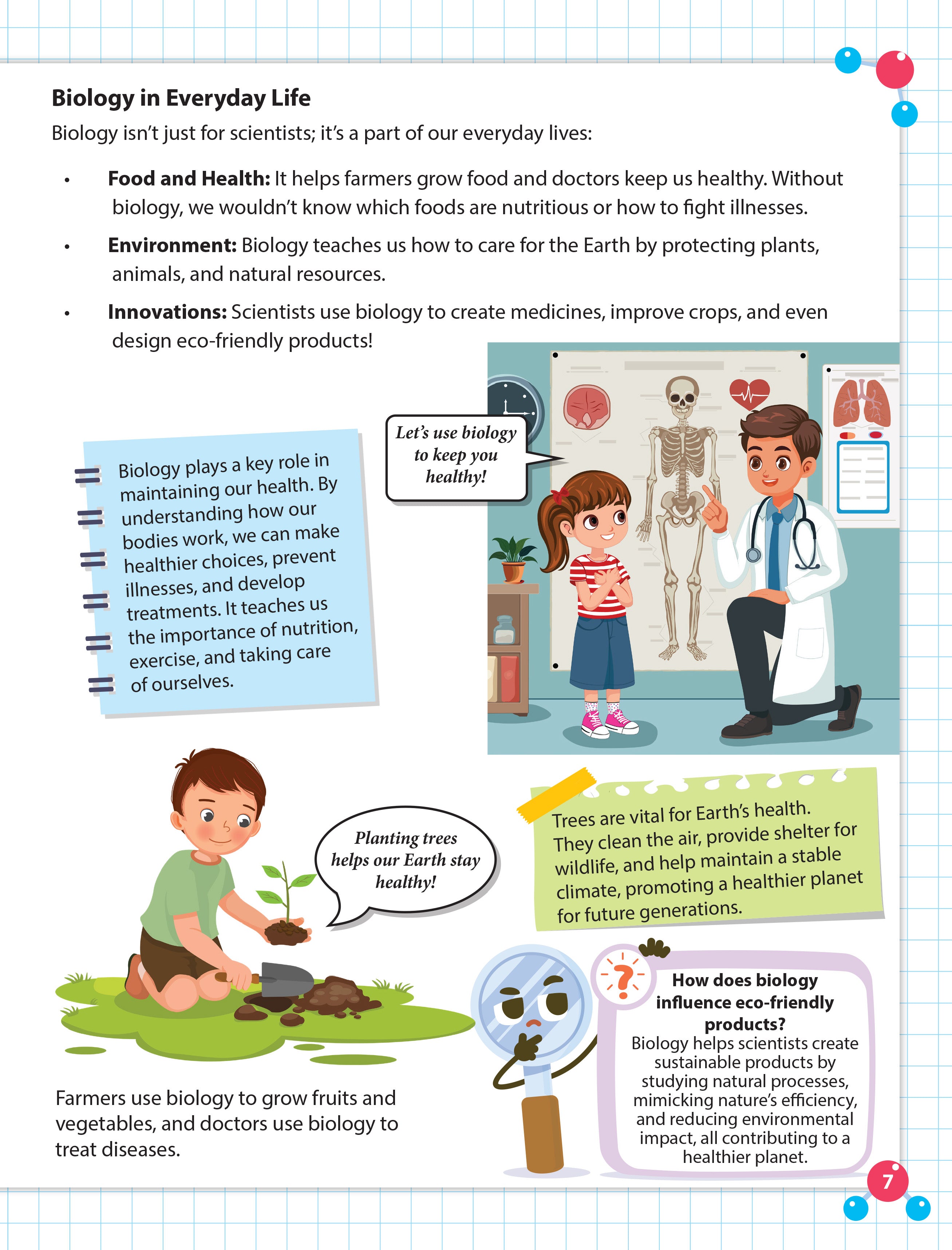 Dreamland Publications Everyday Wonders: Biology for Kids Age 6+ – Fun Facts and Exciting Activities About Living Things | Grab2Buy