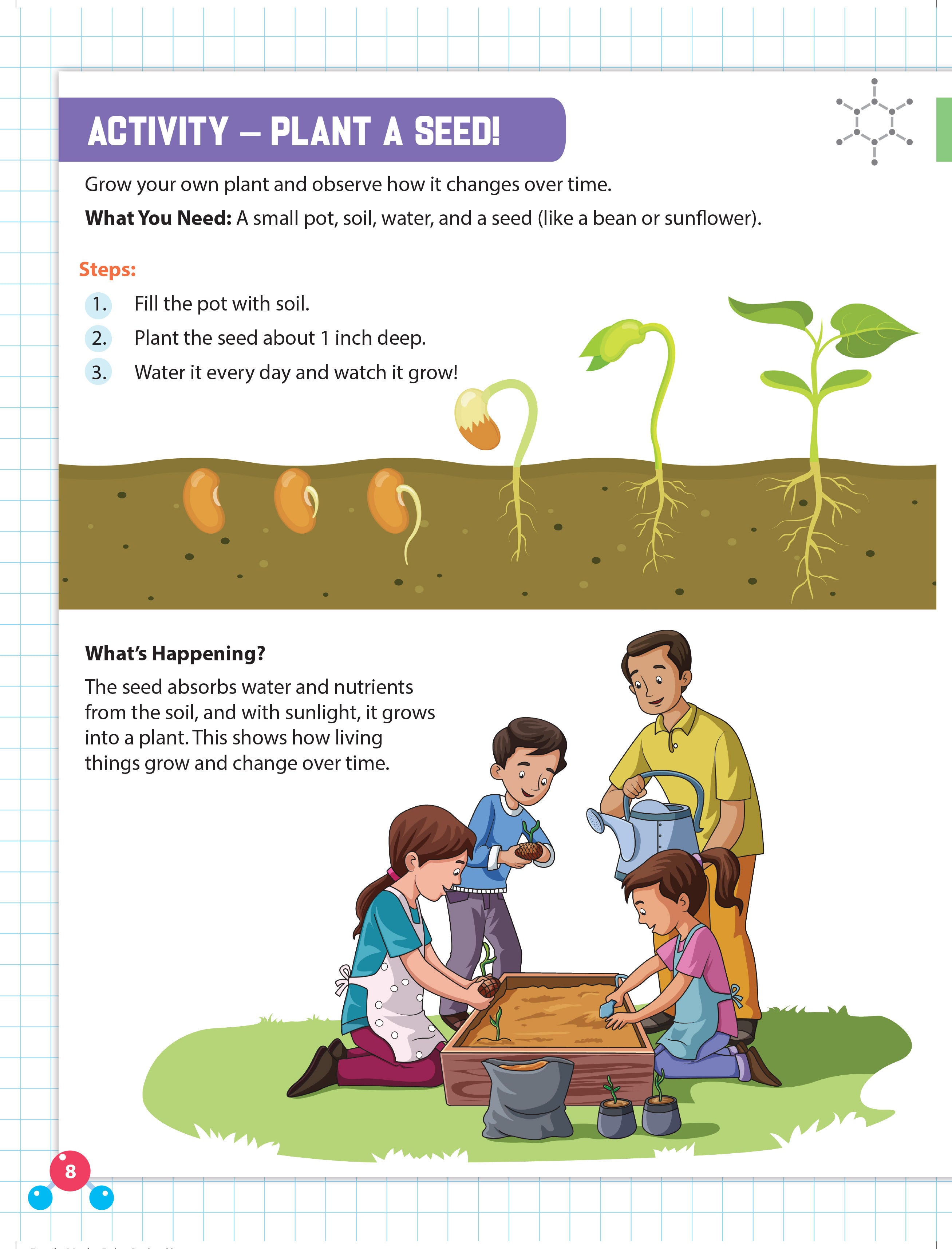 Dreamland Publications Everyday Wonders: Biology for Kids Age 6+ – Fun Facts and Exciting Activities About Living Things | Grab2Buy