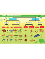 Dreamland Publications Everyday Wonders: Biology for Kids Age 6+ – Fun Facts and Exciting Activities About Living Things | Grab2Buy