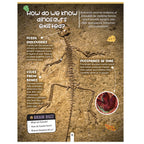 Dreamland Publications Factopedia: Dino Discovery – Fascinating Dinosaur Facts for Kids Age 6+ | Learn About Prehistoric Giants with Fun, Easy-to-Understand Info | Grab2Buy