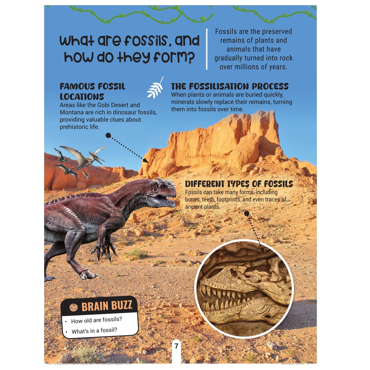 Dreamland Publications Factopedia: Dino Discovery – Fascinating Dinosaur Facts for Kids Age 6+ | Learn About Prehistoric Giants with Fun, Easy-to-Understand Info | Grab2Buy