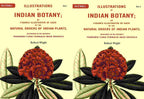 Illustrations Of Indian Botany; Or Figures Illustrative Of Each Of The Natural Orders Of Indian 2 Vols. Set - Gyan Books