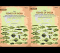 The Fishes Of India: Being A Natural History Of The Fishes Known To Inhabit The Seas And Fresh 2 Vols. Set - Gyan Books