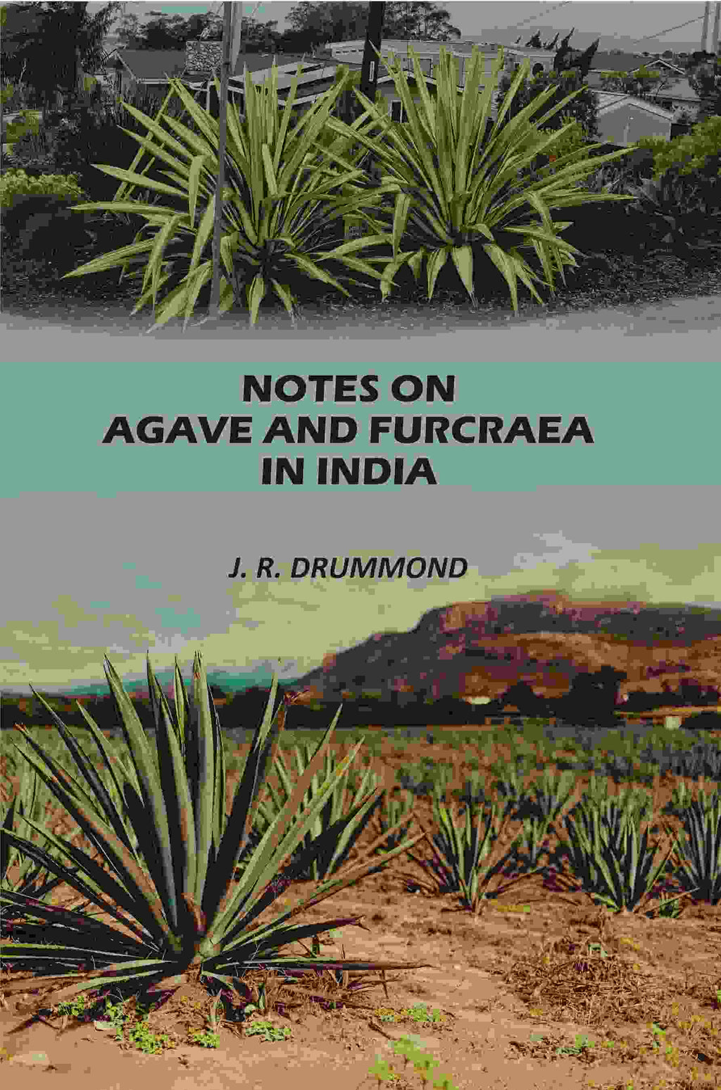 Notes on Agave and Furcraea in India - Gyan Books | Grab2Buy