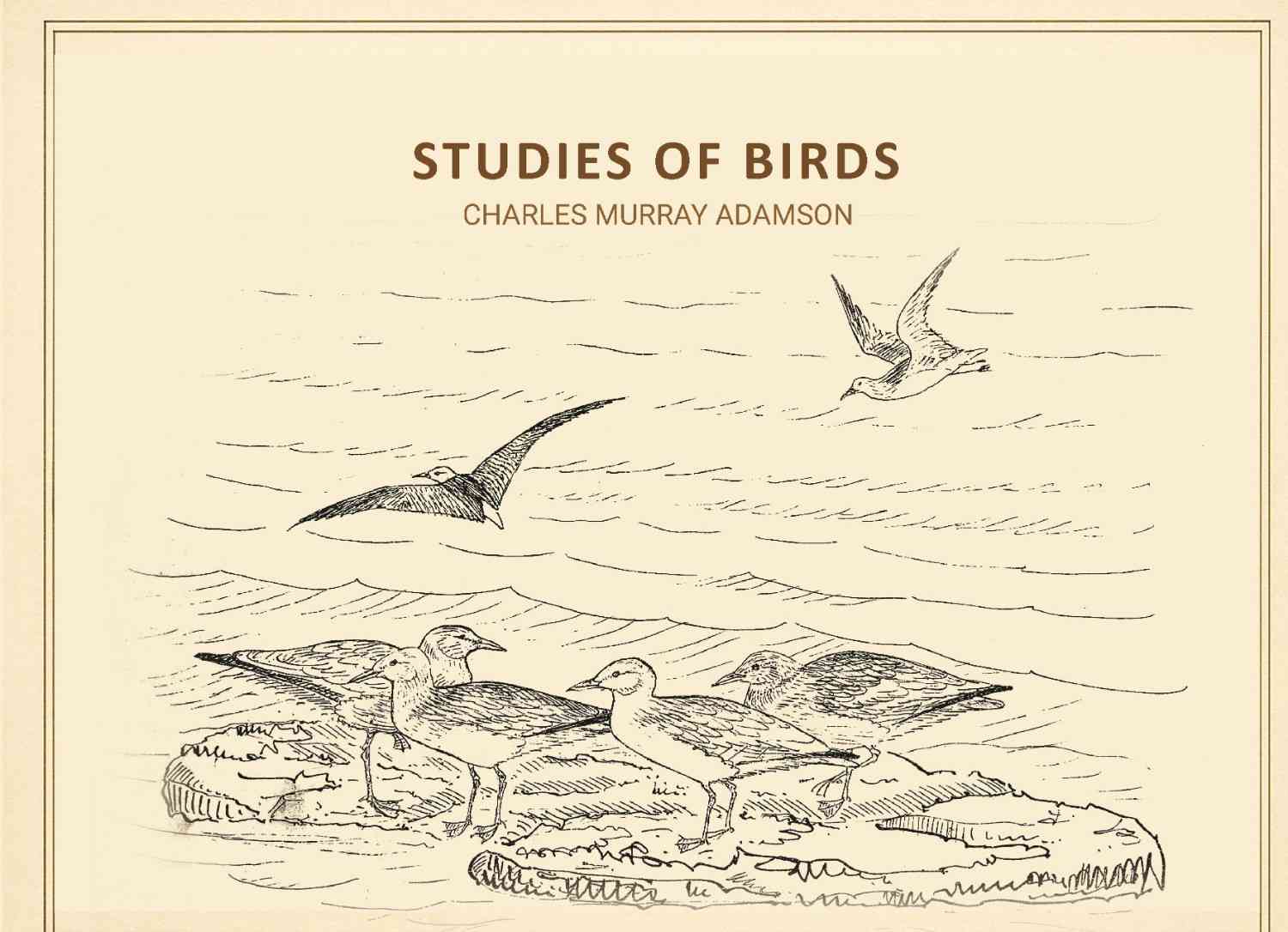 Studies of birds - Gyan Books | Grab2Buy