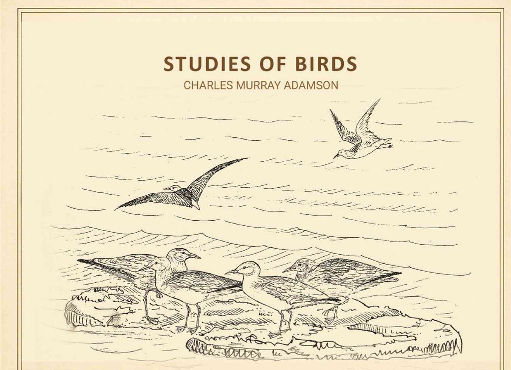 Studies of birds - Gyan Books | Grab2Buy