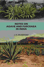 Notes on Agave and Furcraea in India - Gyan Books | Grab2Buy