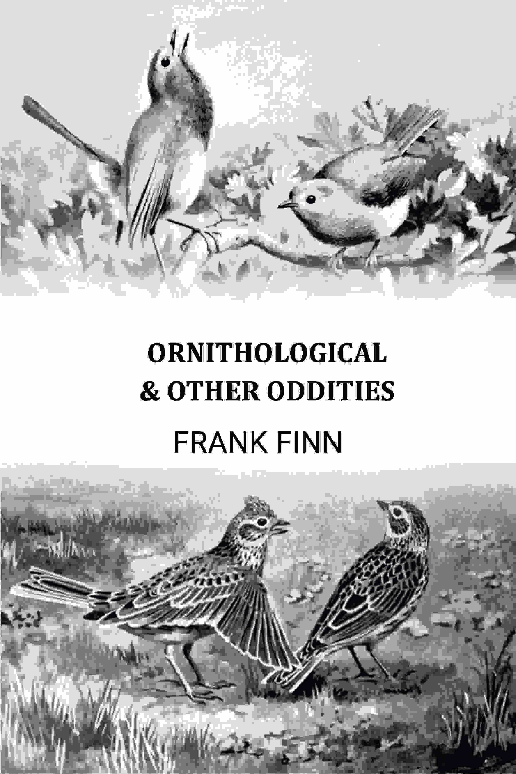 Ornithological & Other Oddities - Gyan Books | Grab2Buy