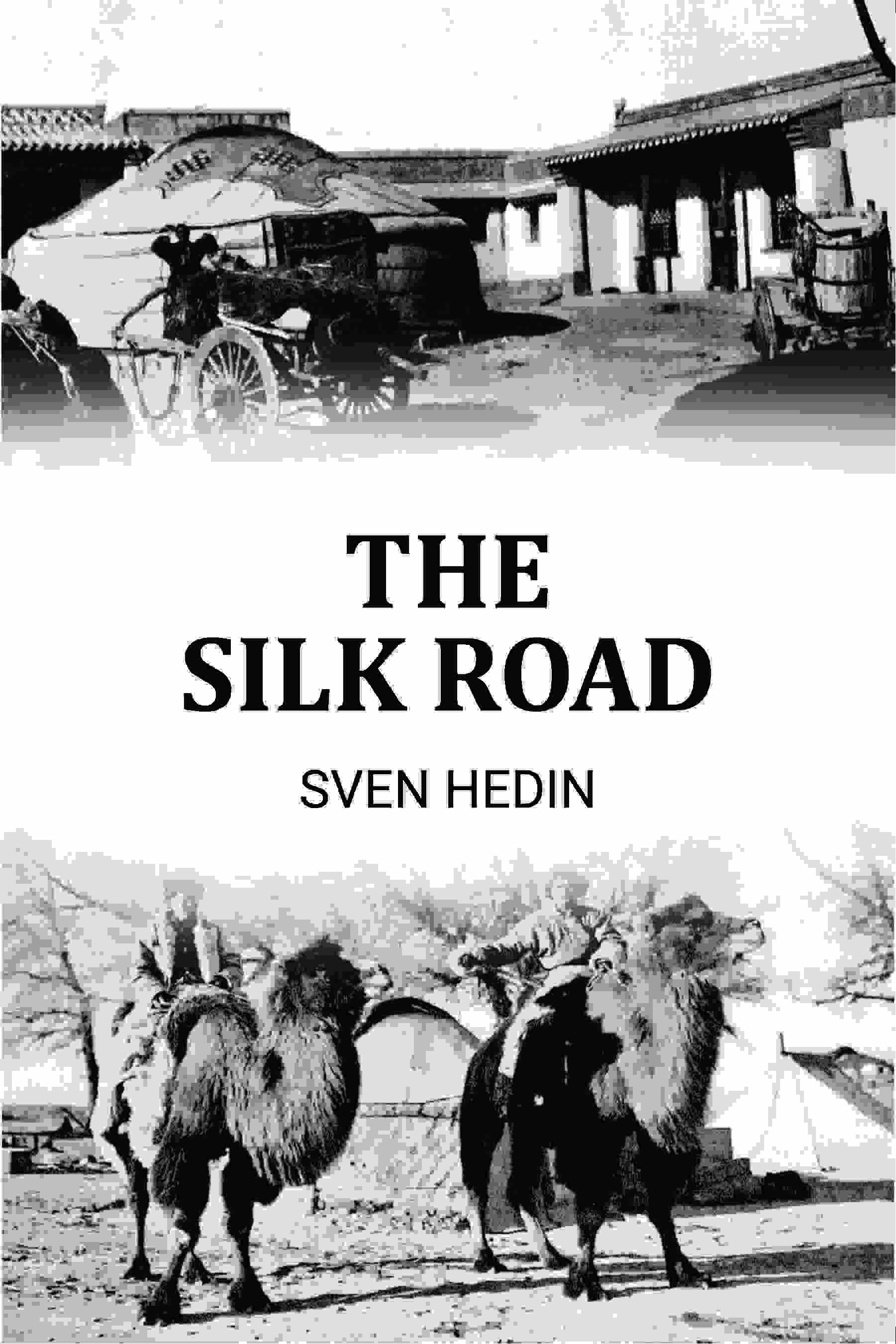 The Silk Road - Gyan Books | Grab2Buy