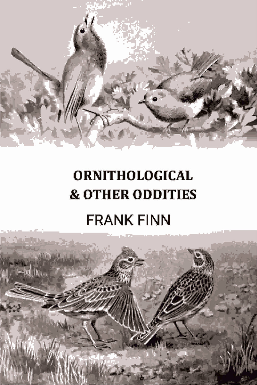 Ornithological & Other Oddities - Gyan Books | Grab2Buy