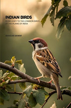 Indian Birds: Being A Key To The Common Birds Of The Plains Of India - Gyan Books