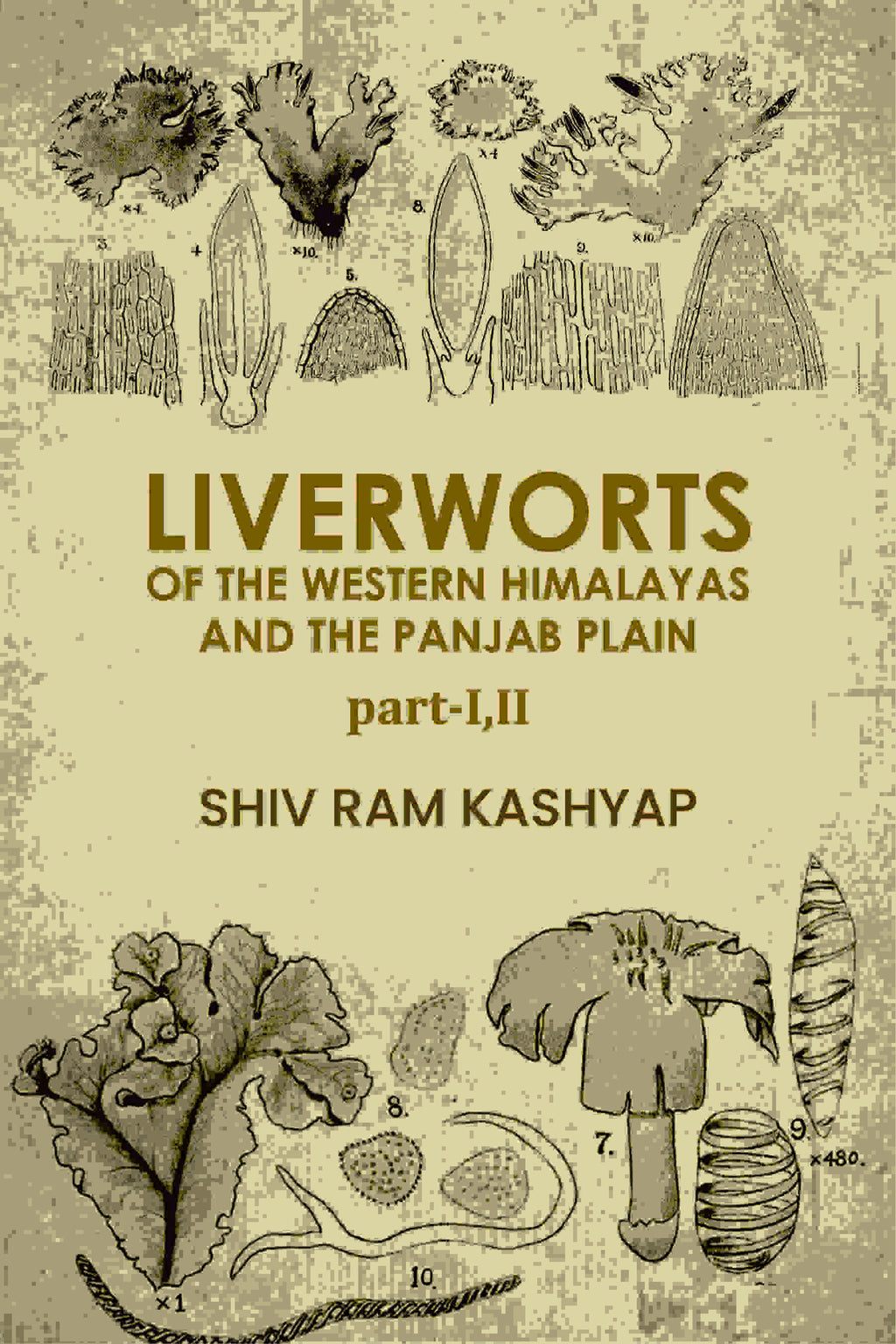 Liverworts Of The Western Himalayas And The Panjab Plain (Part 1 and 2) - Gyan Books