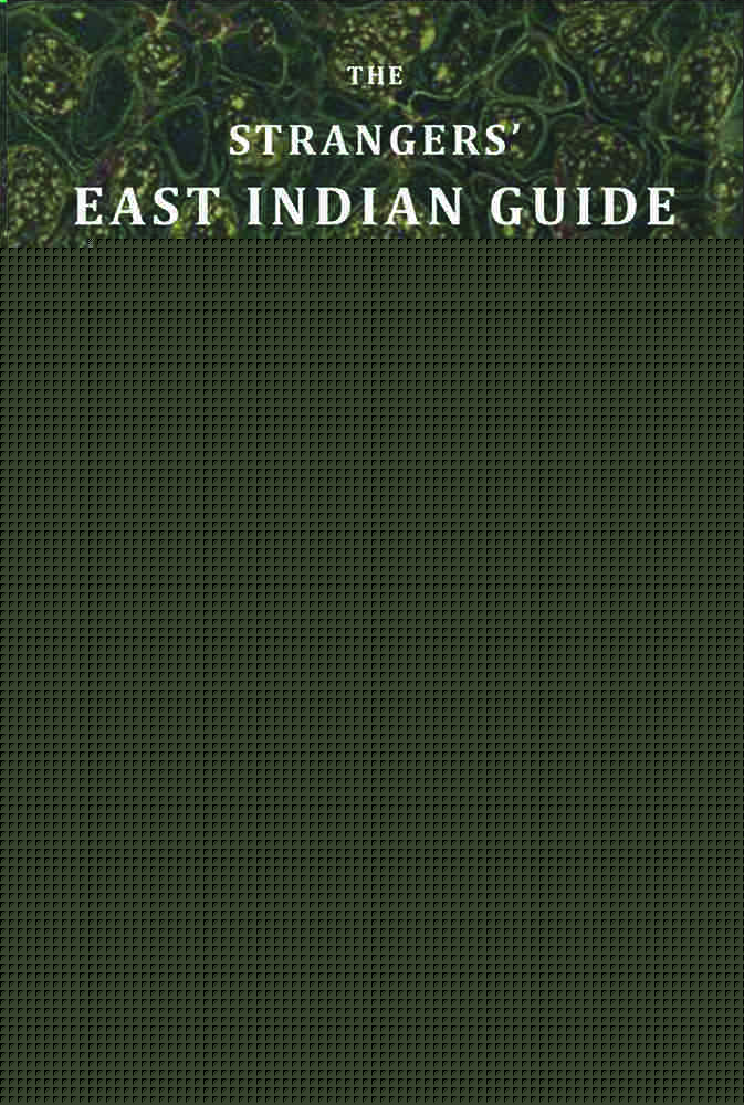 The Strangers East Indian Guide To The Hindoostanee: Or Grand Popular Language Of India - Gyan Books