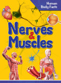 Nerves & Muscles : Human Body Facts - Om Books