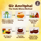 Giramritphal A2 Pure Desi Gir Cow Ghee Vedic Bilona Method | Swadesiicart
