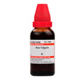 Dr. Willmar Schwabe India Beta Vulgaris Mother Tincture Q | Grab2Buy