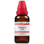 Dr. Willmar Schwabe India Phytolacca Dilution