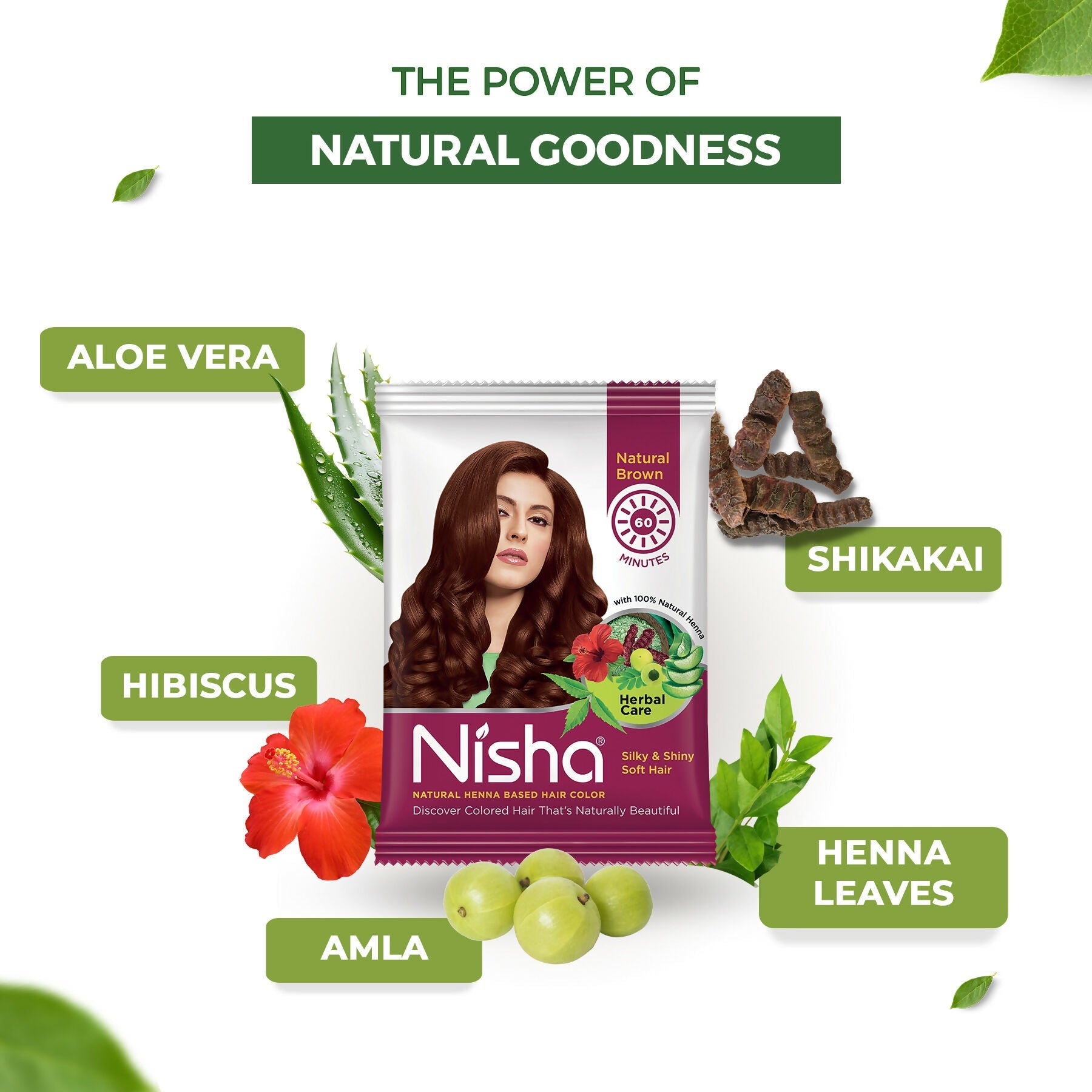 Nisha Henna Based Hair Colour For Women & Men Natural Brown | Grab2Buy