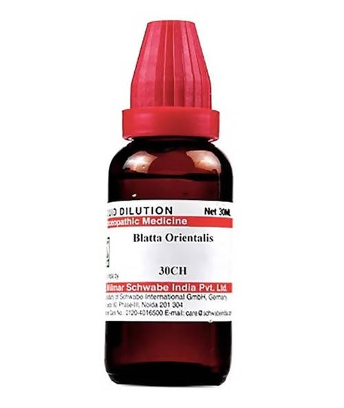 Dr. Willmar Schwabe India Blatta Orientalis Dilution | Grab2Buy
