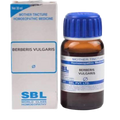 SBL Homeopathy Berberis Vulgaris Mother Tincture Q | Grab2Buy