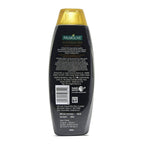 Palmolive Luminous Oil Argan Oil & Camelia Shampoo | Grab2Buy
