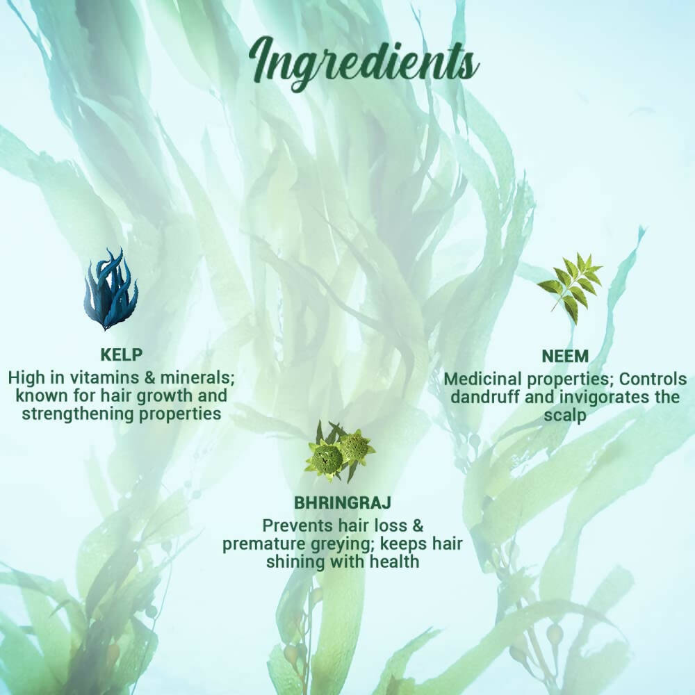 Biotique Ocean Kelp Anti Hair Fall Shampoo | Grab2Buy