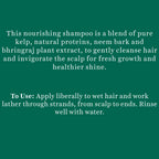 Biotique Bio Kelp Protein Shampoo For Falling Hair