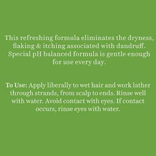 Biotique Bio/Fresh Neem Anti Dandruff Shampoo & Conditioner | Grab2Buy