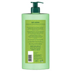 Biotique Bio/Fresh Neem Anti Dandruff Shampoo & Conditioner | Grab2Buy