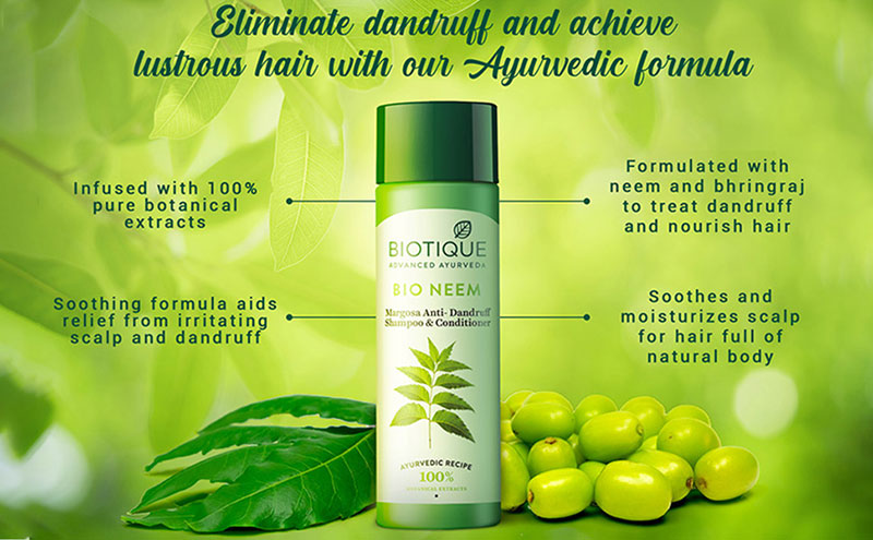 Biotique Bio/Fresh Neem Anti Dandruff Shampoo & Conditioner | Grab2Buy