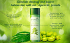 Biotique Bio/Fresh Neem Anti Dandruff Shampoo & Conditioner | Grab2Buy