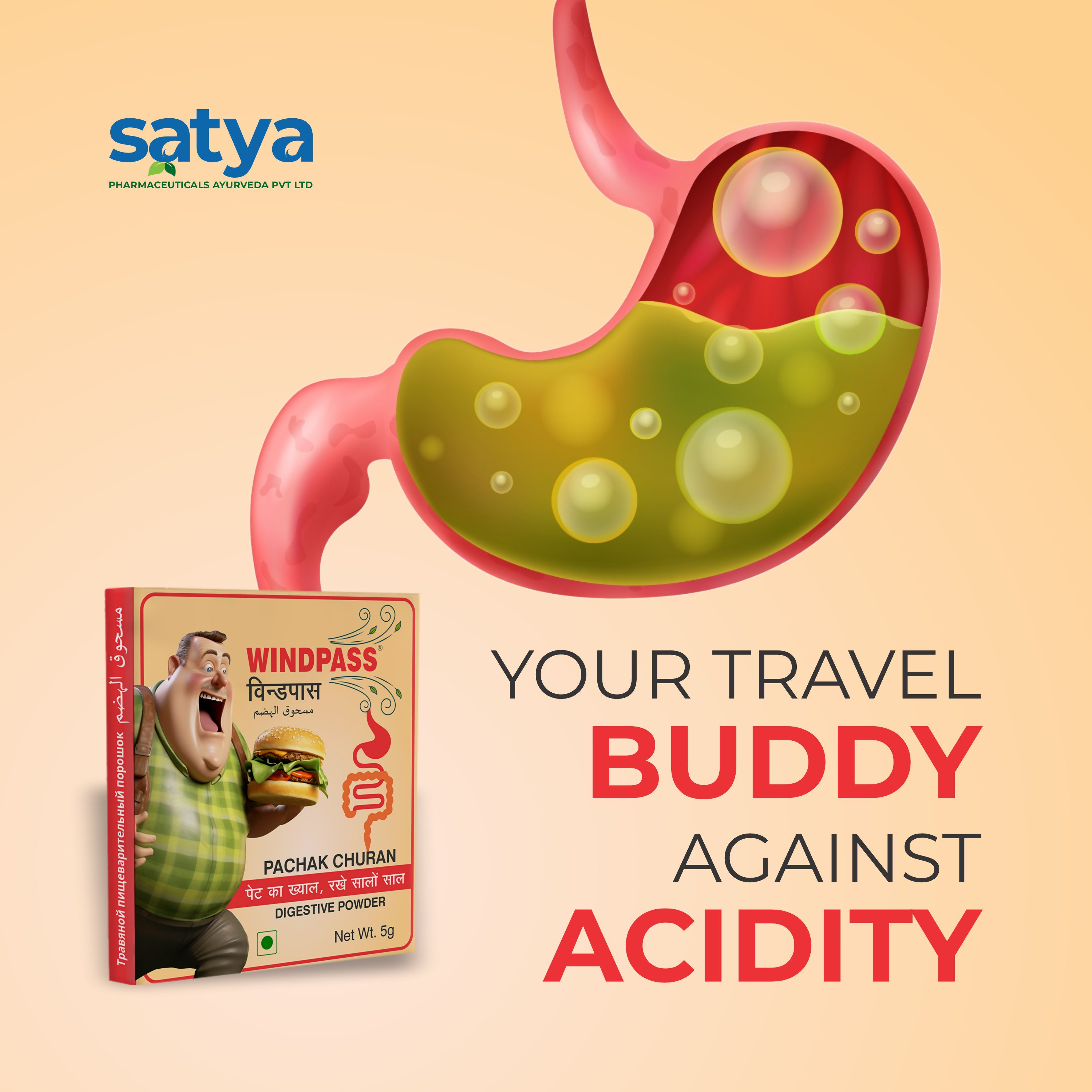 Satya Pharmaceuticals Ayurveda Windpass Pachak Churan Sachet | Grab2Buy