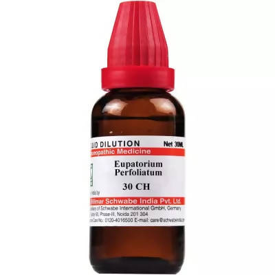 Dr. Willmar Schwabe India Eupatorium Perfoliatum Dilution | Grab2Buy