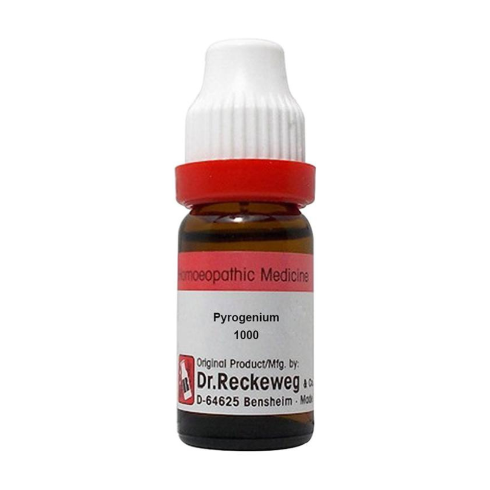 Dr. Reckeweg Pyrogenium Dilution | Grab2Buy